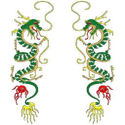 twin dragons