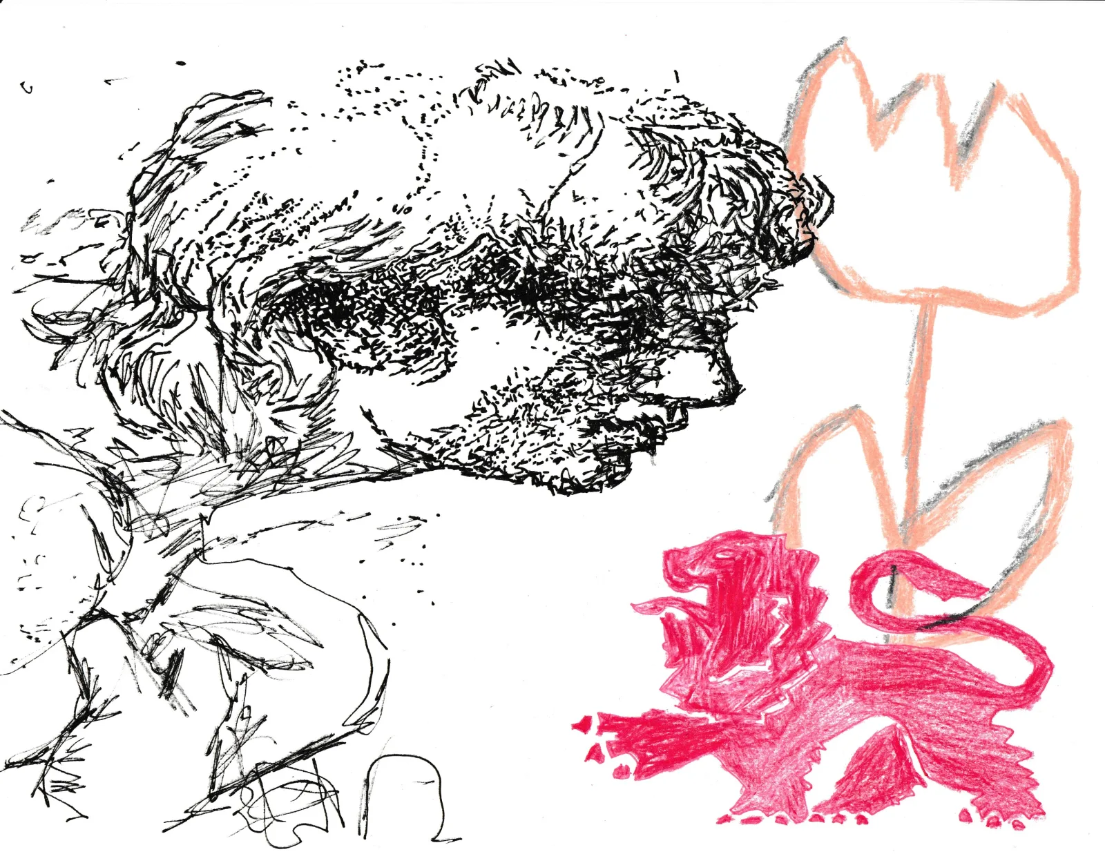 drawing 5